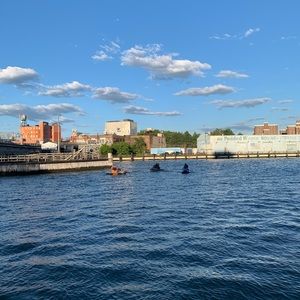 Meet your Posher, Dionne